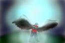 maximum-ride-fang maximum-ride-fang