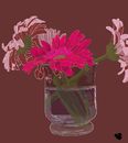 pink-daisies-in-glass
