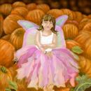 pumpkin-fairy