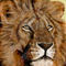 the-lion by hakan