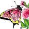 long-lost-butterfly by minniemouse