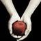 twilight-book-cover by maroon5rox