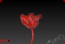 painted-flower