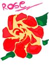 rose rose