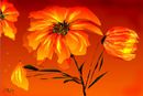 redorange-flower