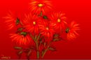 some-red-flowers-on-re