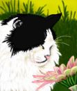 fluffy-and-the-flower
