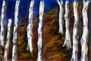a-grove-of-birch-trees