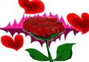 for-someone