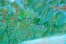 luz