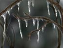 icicles icicles
