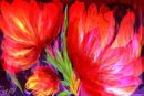 impassioned