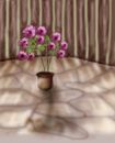 lights-and-shadows