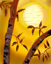 yellow-sham