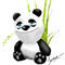 panda by sankar