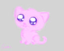 pink-kitten
