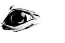 eye