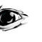 eye by snape