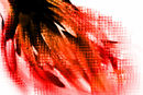 digital-flame