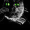 buster-the-tuxedo-cat by JoHughes