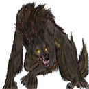 zyph-werewolf-form