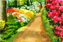 arboretum-westonbirt