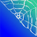 web web