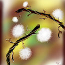 dream-puff