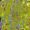 abstract-botifics-requ by cattyshow