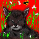 catnap