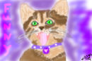 funny-cat-haha