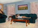 living-room living-room