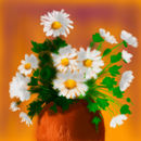 daisies