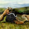 lions-hunting by hakan