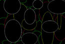 circle circle