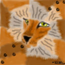 the-king-of-the-cats
