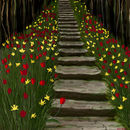 the-steps