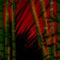 bamboo by ammujai