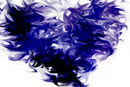 blueheart