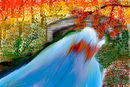 fall