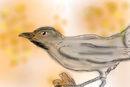 autumn-bird