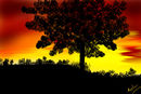 the-sunset