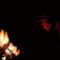 campfire by Belinda