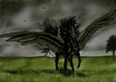 black-pegasus