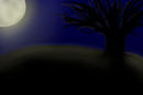 illumination