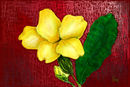 primerose