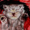 dreaming-kitty by Saffy