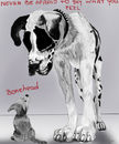 bonehead bonehead
