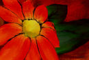 autumn-sunshine