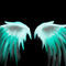 wings by ashnic6294